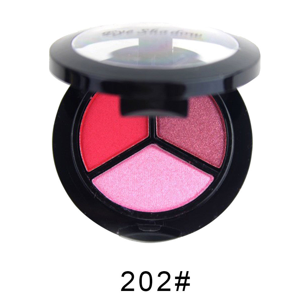 Smoky Cosmetic Set 3 colors Professional Natural Matte Makeup Eye Shadow